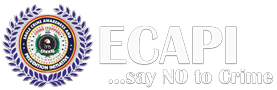 ECAPI Logo